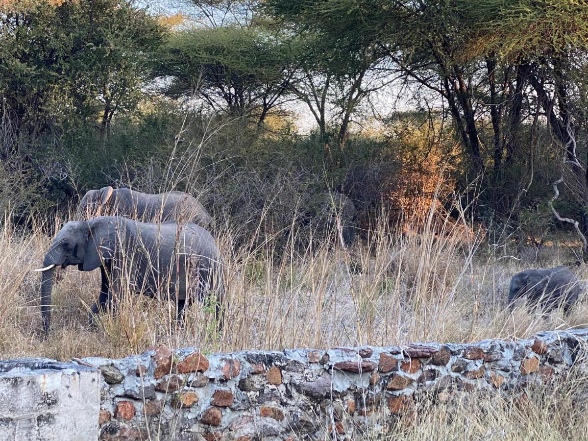 Big 5 Toro Lodge Kasane Exterior foto